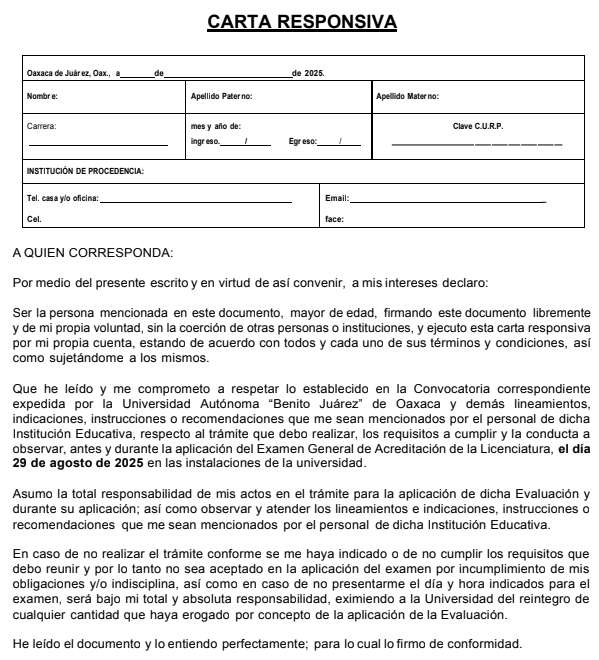 carta responsiva a rellenar